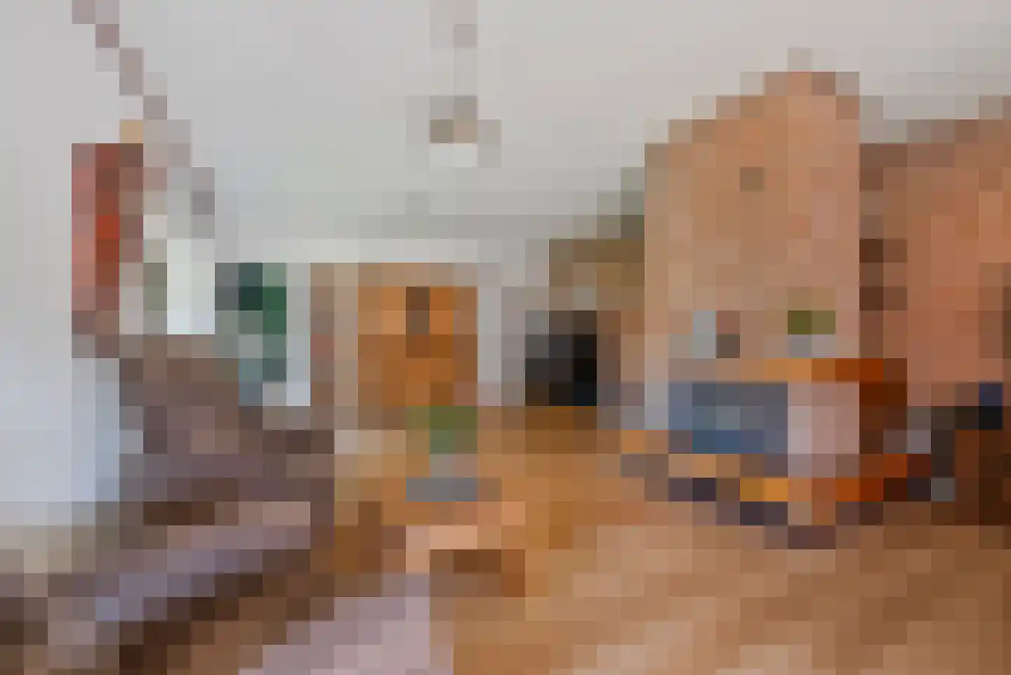 Kanaaldijk 66 Wapenveld thumbnail 12