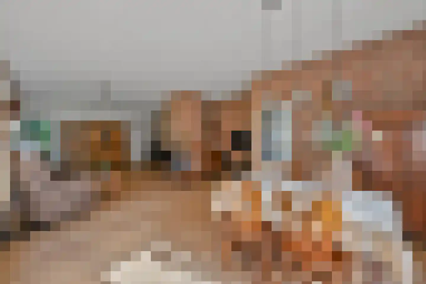 Kanaaldijk 66 Wapenveld thumbnail 14