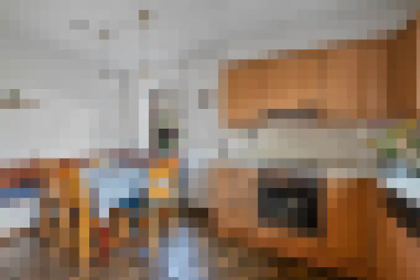Kanaaldijk 66 Wapenveld thumbnail 23