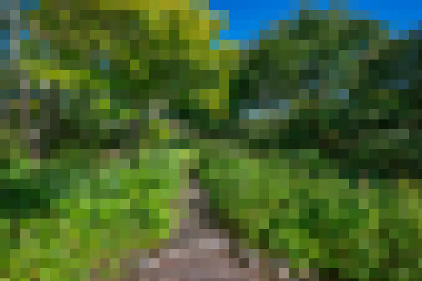 Kanaaldijk 66 Wapenveld thumbnail 36