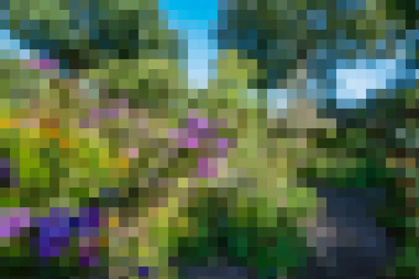 Kanaaldijk 66 Wapenveld thumbnail 37