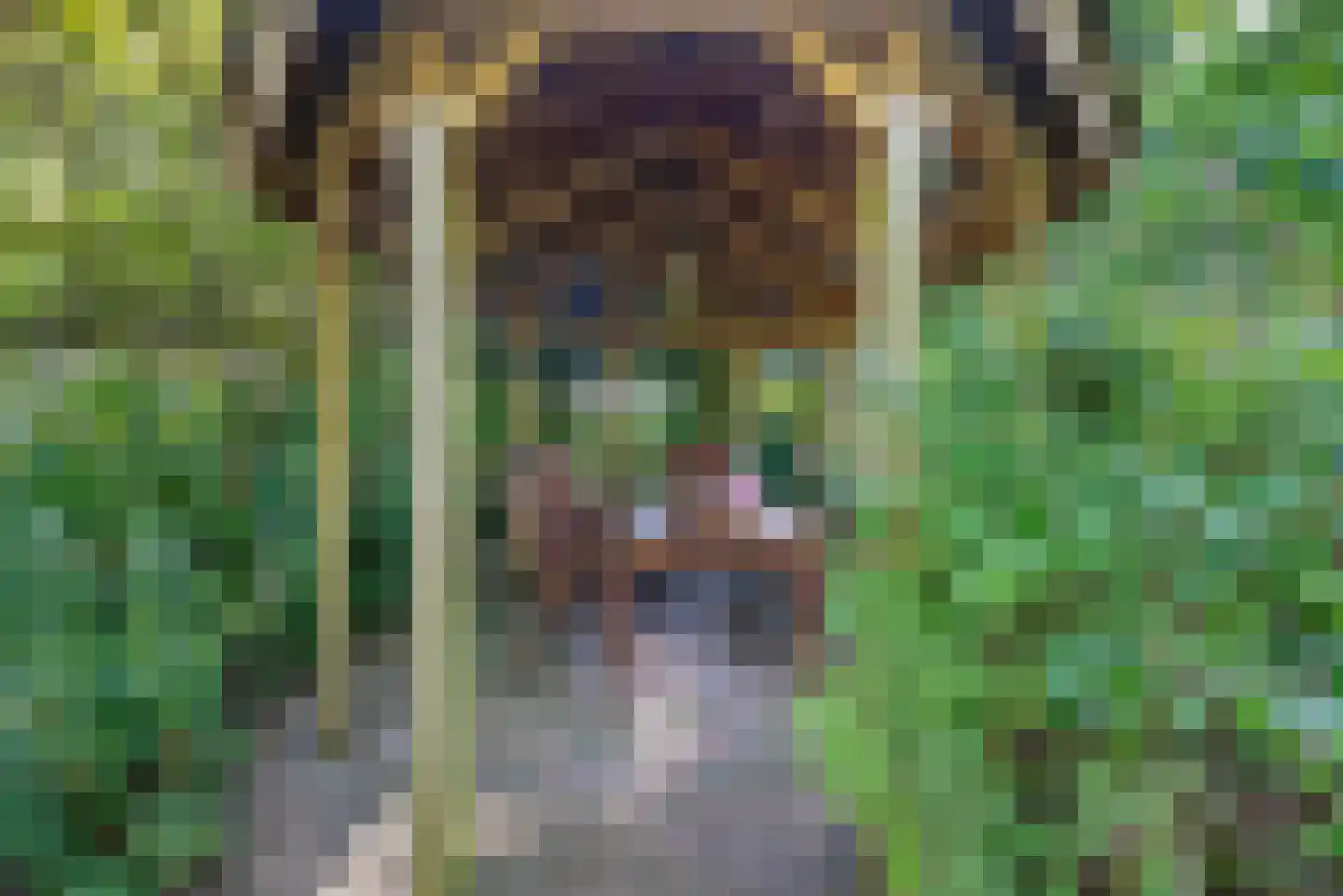 Kanaaldijk 66 Wapenveld thumbnail 39