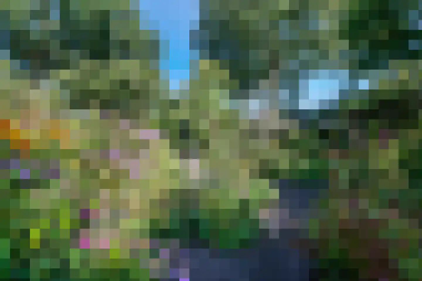 Kanaaldijk 66 Wapenveld thumbnail 4