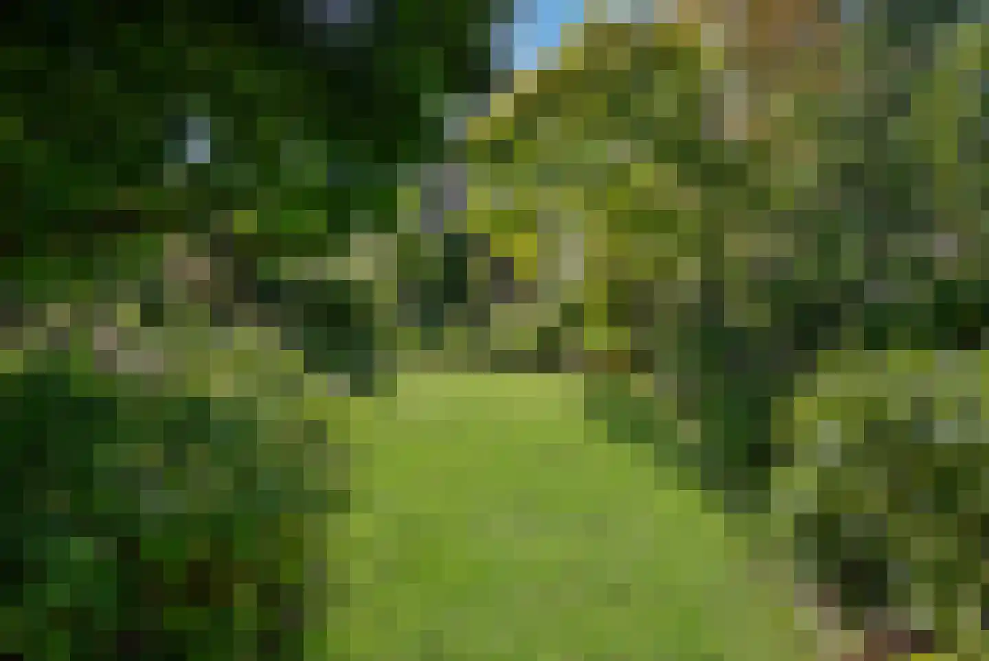 Kanaaldijk 66 Wapenveld thumbnail 40