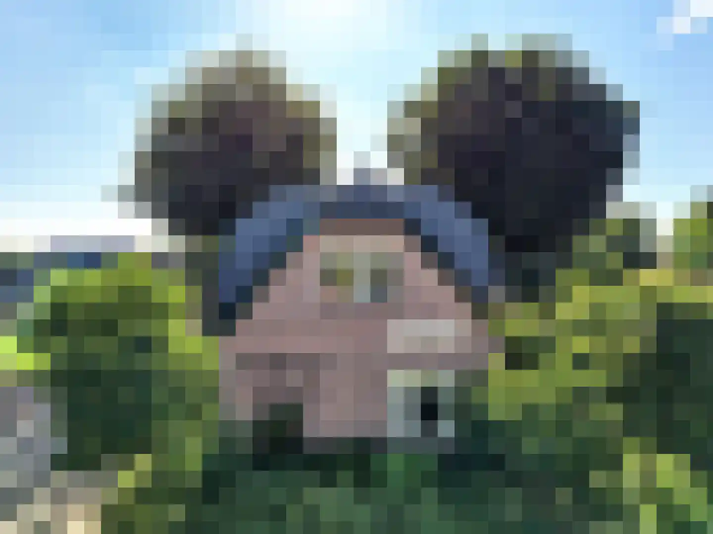 Kanaaldijk 66 Wapenveld thumbnail 5