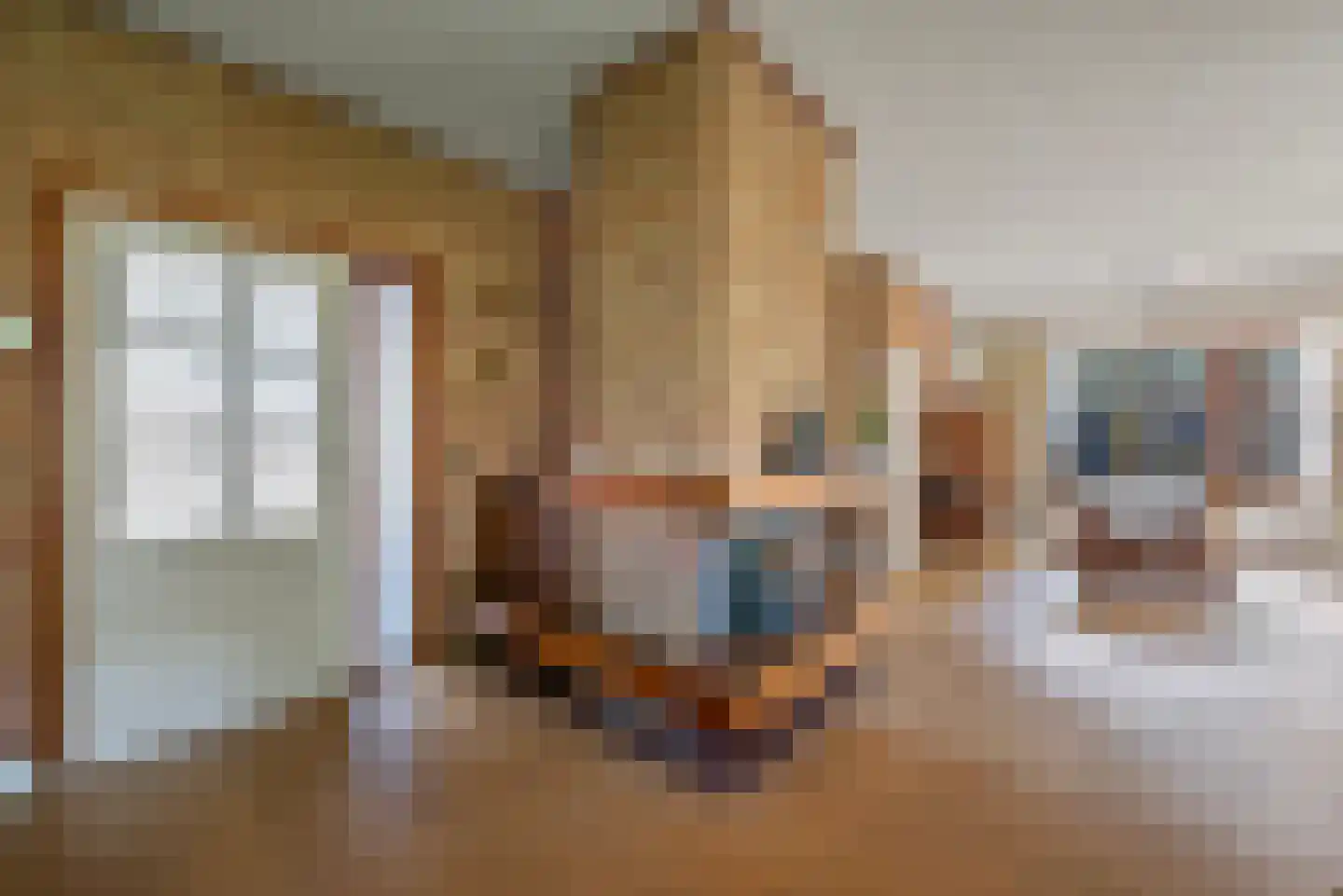 Kanaaldijk 66 Wapenveld thumbnail 8