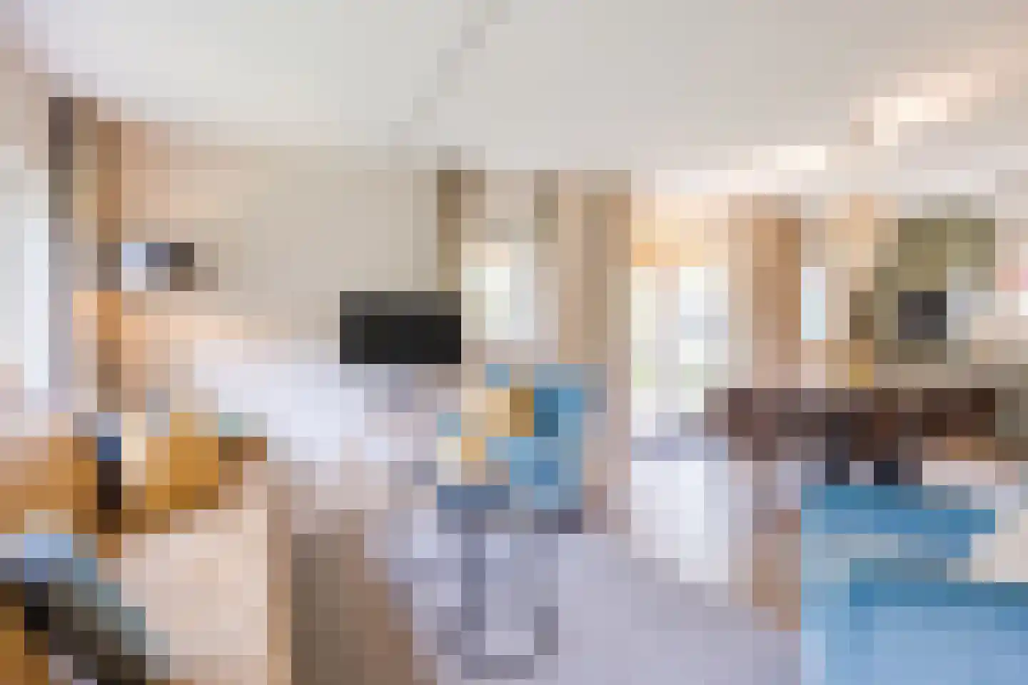 Kanaaldijk 74 Ossenisse thumbnail 11