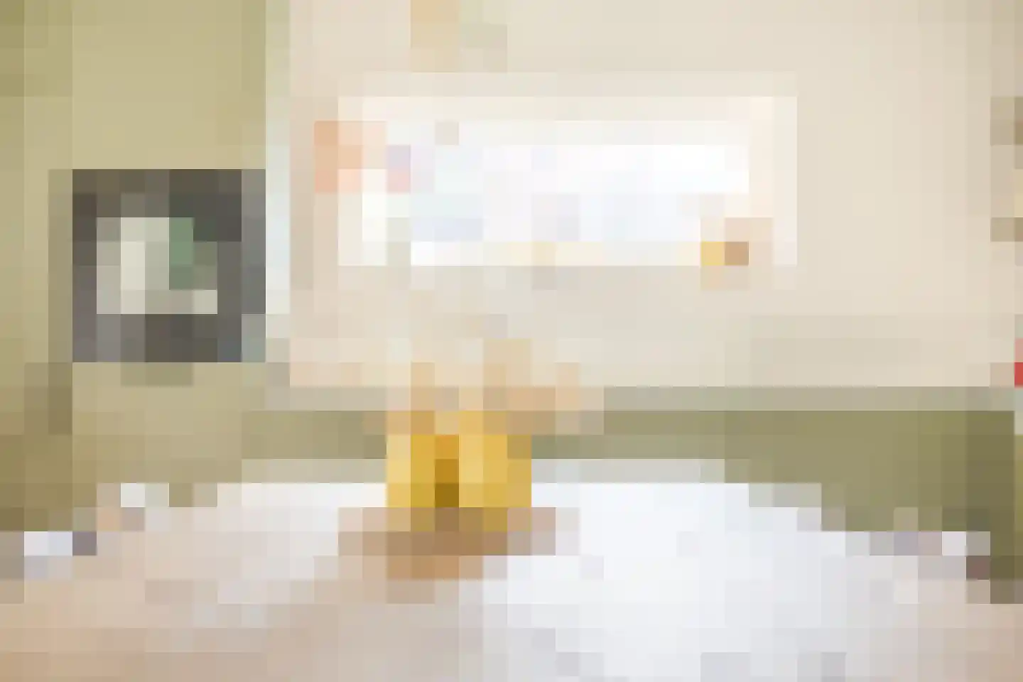 Kanaaldijk 74 Ossenisse thumbnail 13