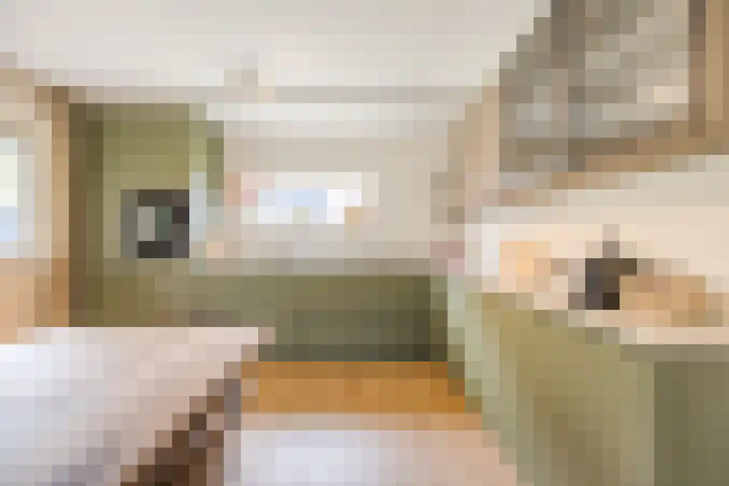 Kanaaldijk 74 Ossenisse thumbnail 14