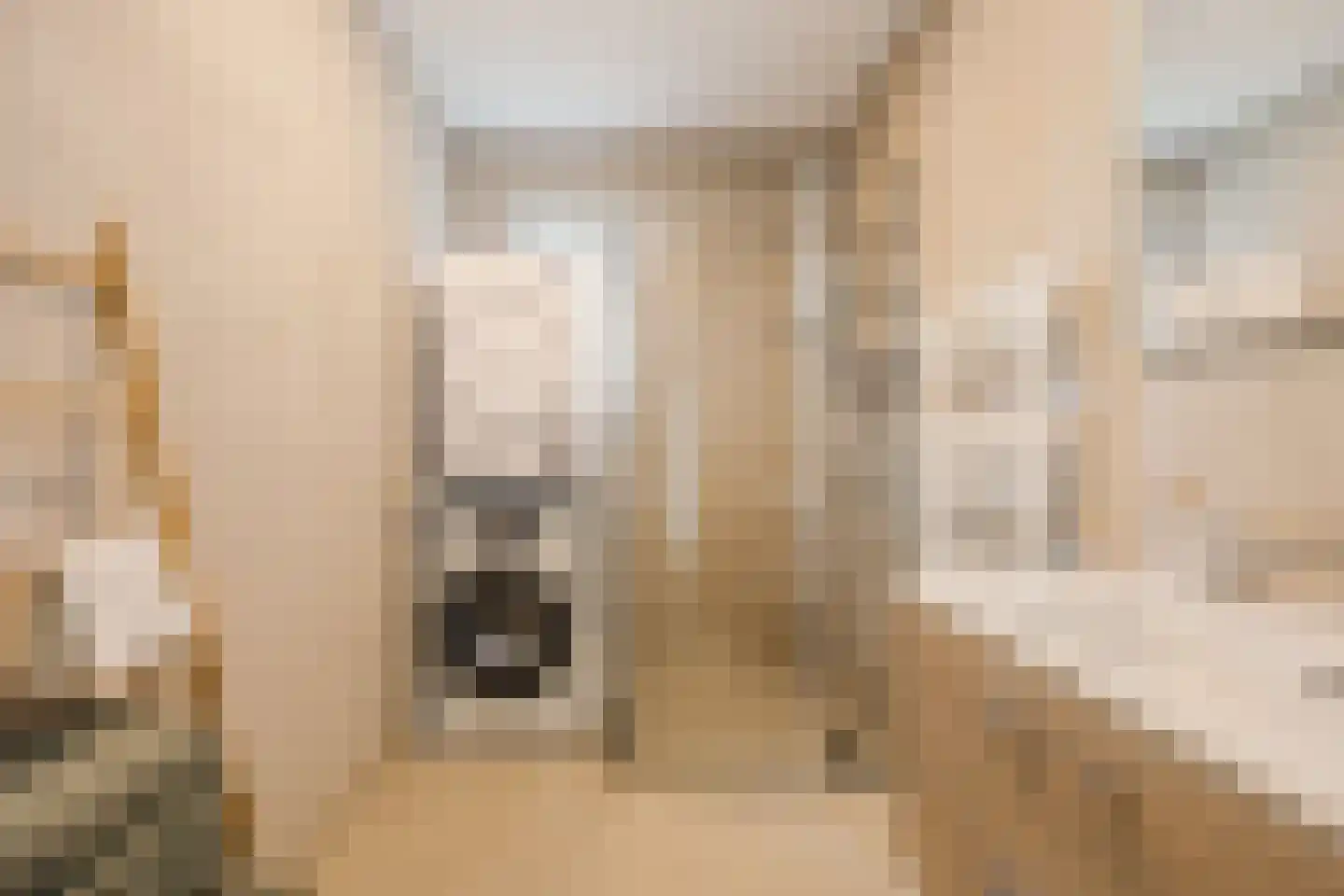 Kanaaldijk 74 Ossenisse thumbnail 20