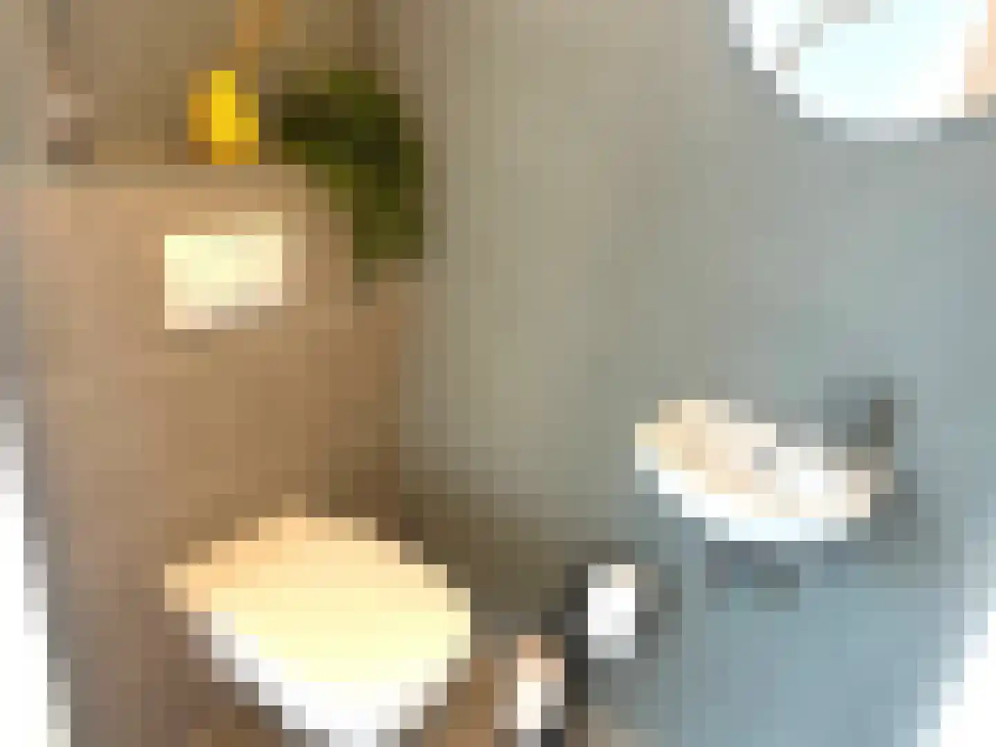 Kanaaldijk 74 Ossenisse thumbnail 22