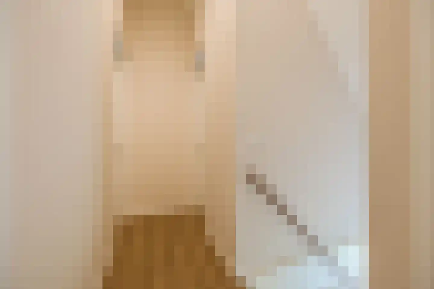 Kanaaldijk 74 Ossenisse thumbnail 23