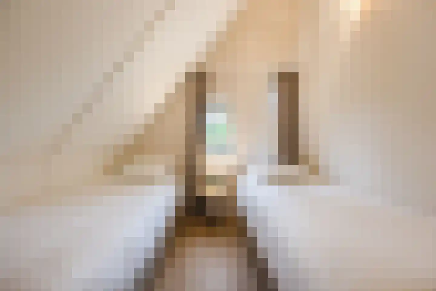 Kanaaldijk 74 Ossenisse thumbnail 27