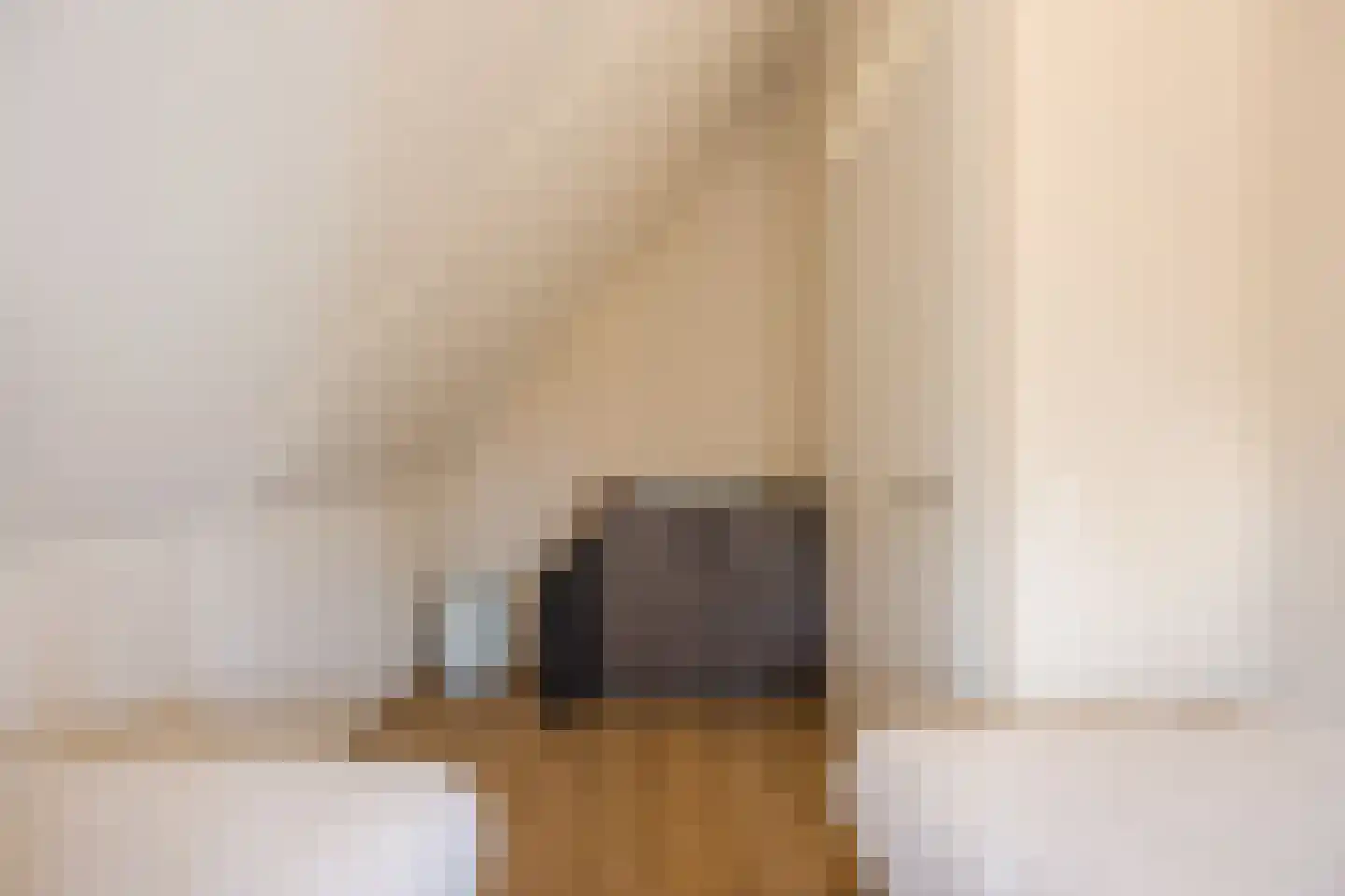Kanaaldijk 74 Ossenisse thumbnail 32