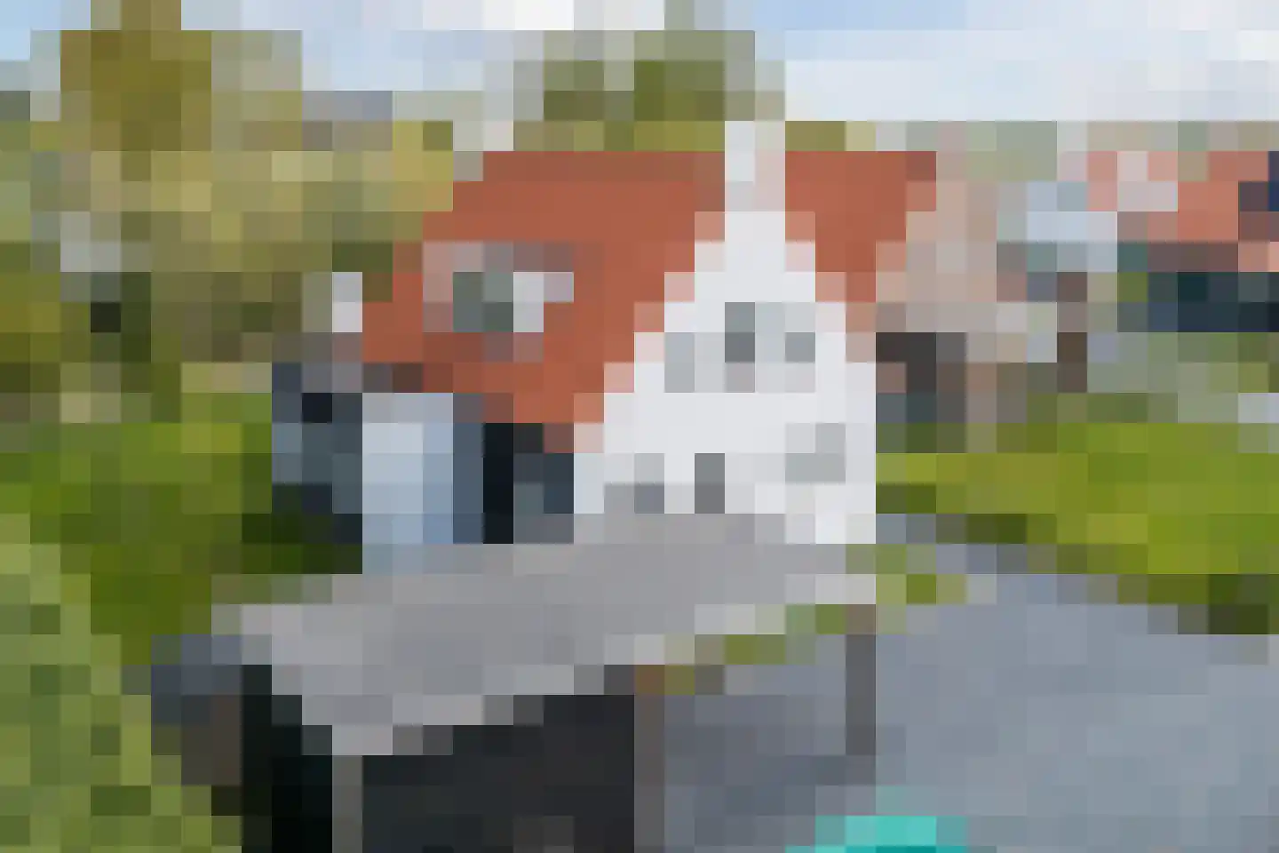 Kanaaldijk 74 Ossenisse thumbnail 37
