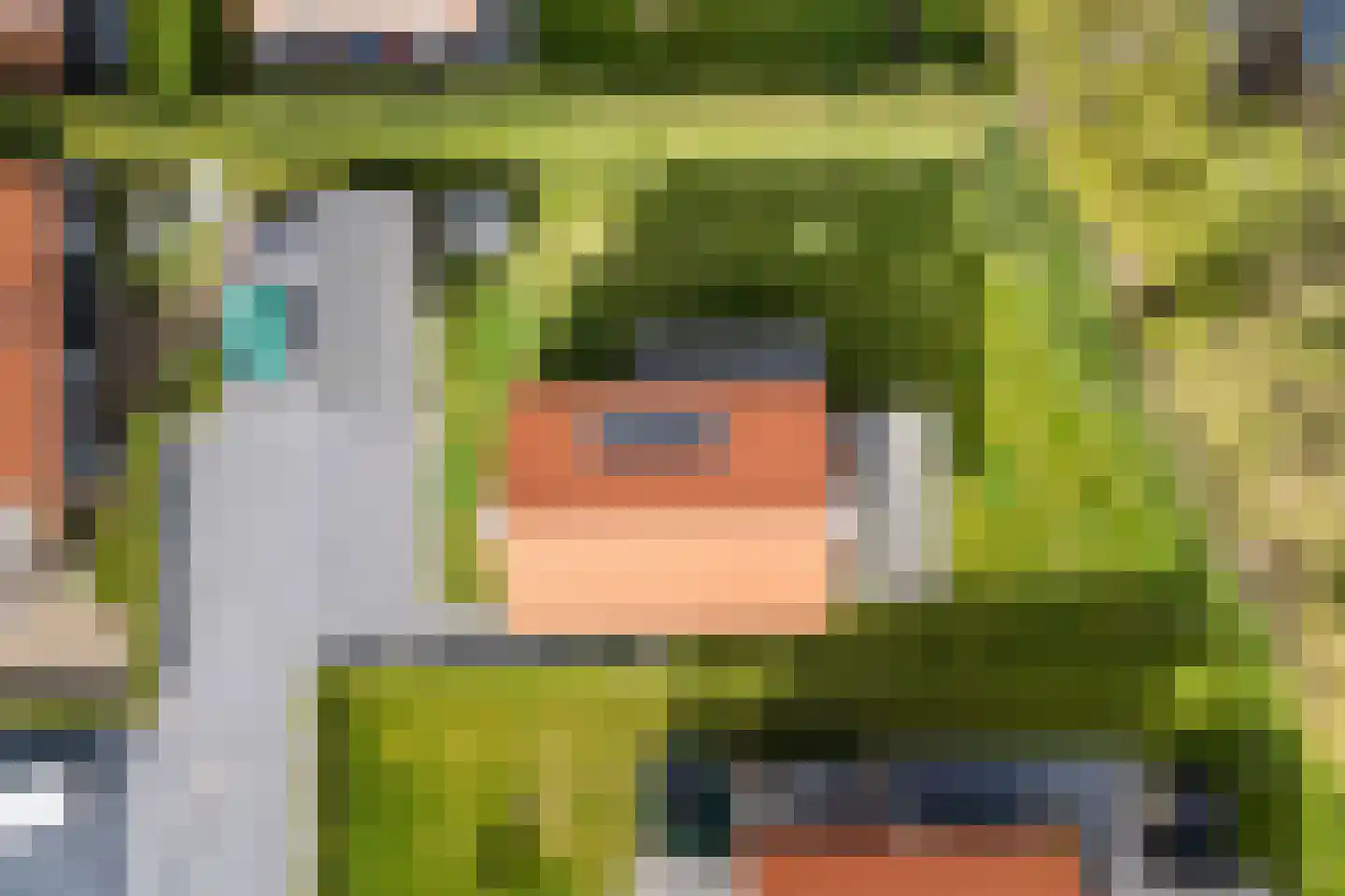 Kanaaldijk 74 Ossenisse thumbnail 39