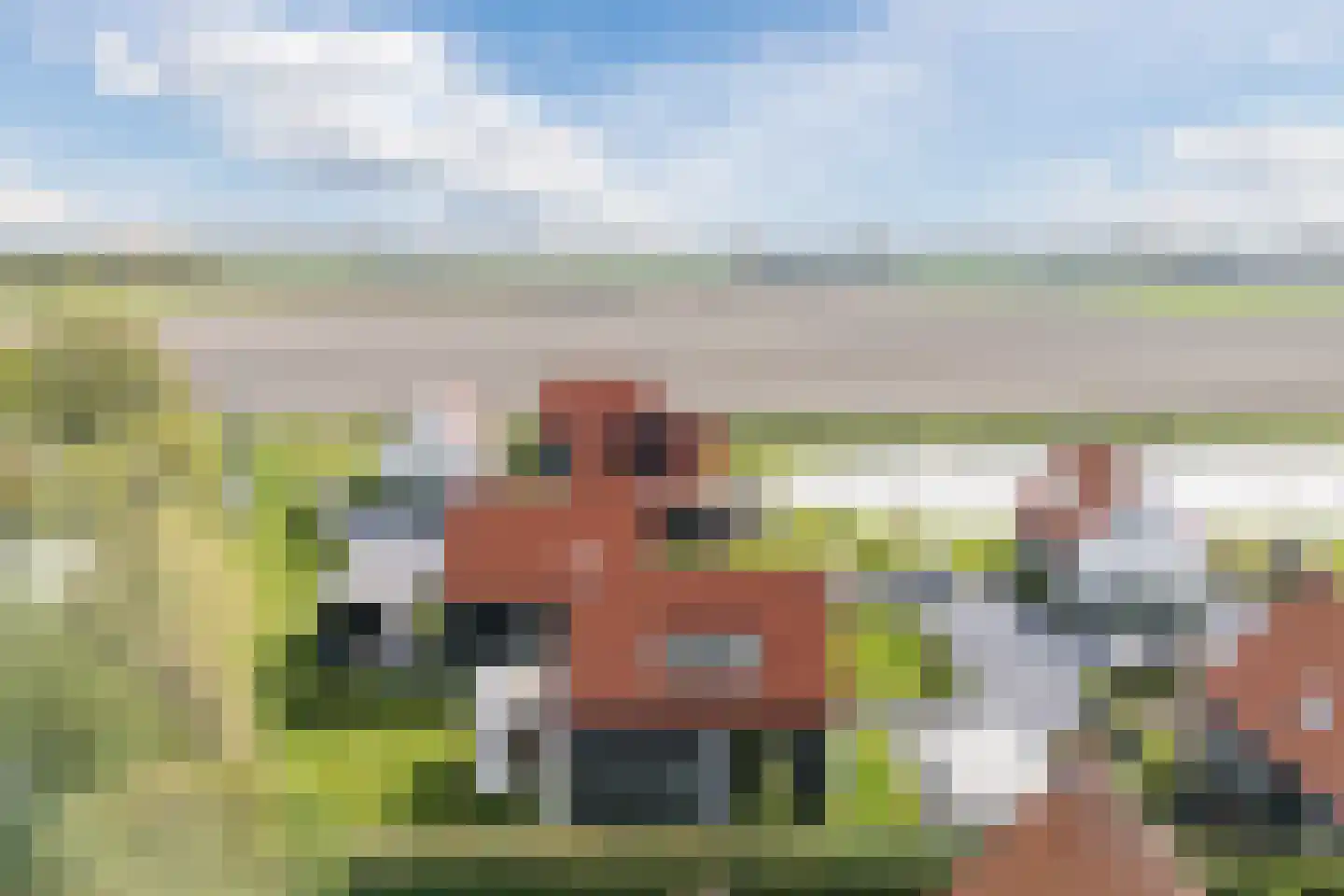 Kanaaldijk 74 Ossenisse thumbnail 40