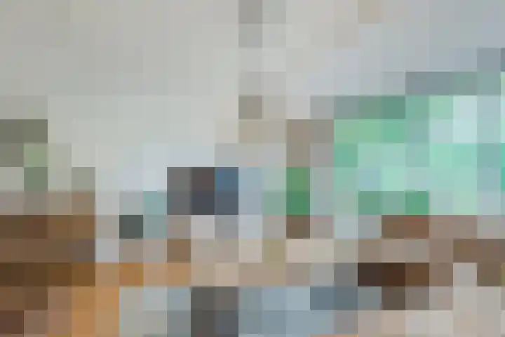Kanaaldijk 75 a Wapenveld thumbnail 10