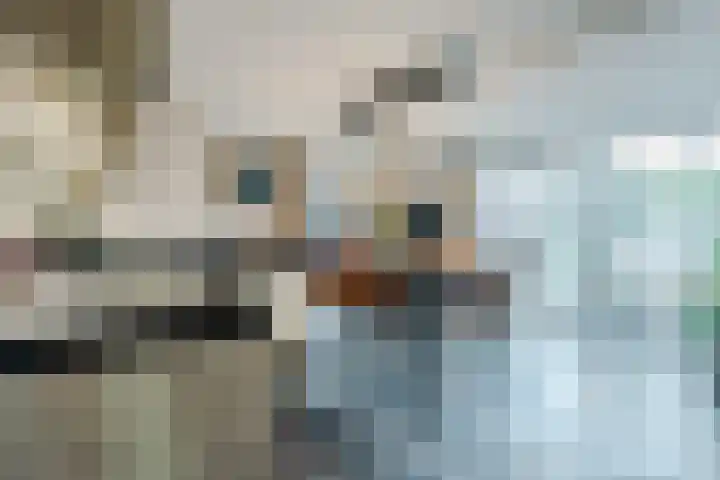 Kanaaldijk 75 a Wapenveld thumbnail 15
