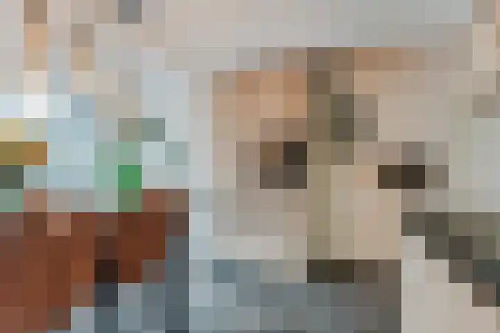 Kanaaldijk 75 a Wapenveld thumbnail 18