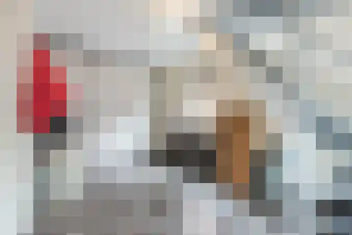 Kanaaldijk 75 a Wapenveld thumbnail 21