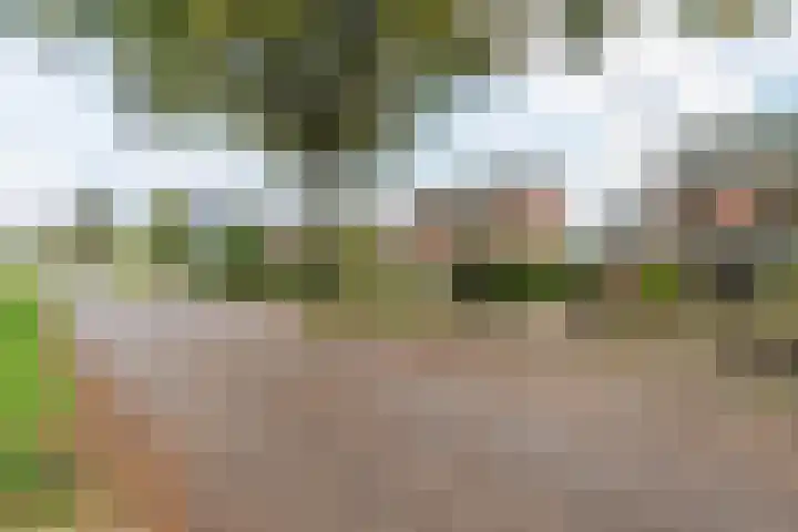 Kanaaldijk 75 a Wapenveld thumbnail 4