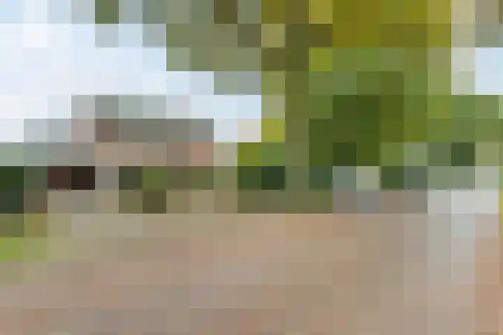 Kanaaldijk 75 a Wapenveld thumbnail 5
