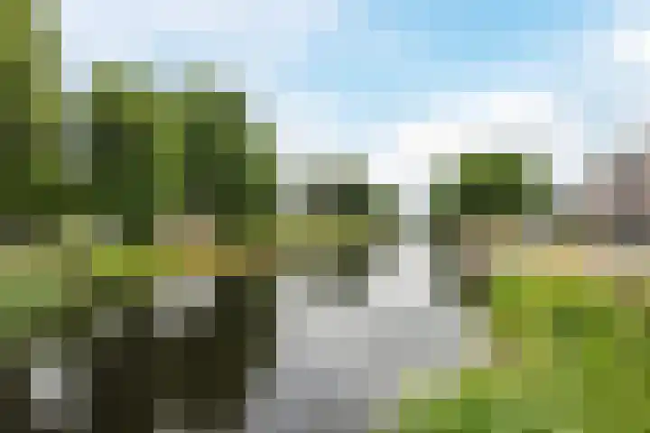 Kanaaldijk 75 a Wapenveld thumbnail 52