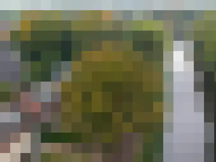 Kanaaldijk 75 a Wapenveld thumbnail 55