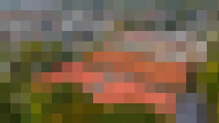 Kanaaldijk 75 a Wapenveld thumbnail 56