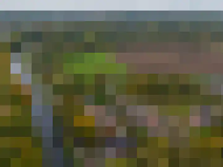 Kanaaldijk 75 a Wapenveld thumbnail 57