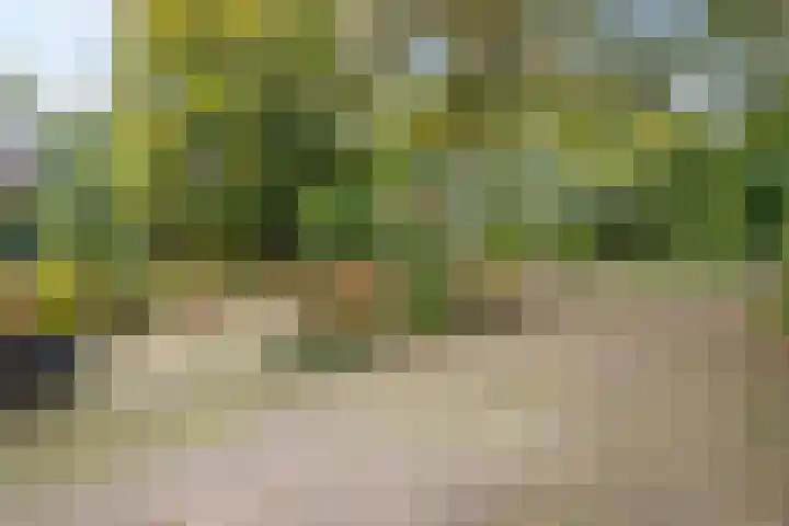 Kanaaldijk 75 a Wapenveld thumbnail 6