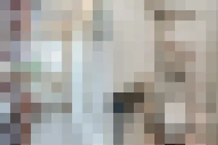 Kanaaldijk 75 a Wapenveld thumbnail 8