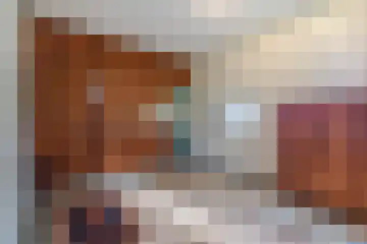 Kanaaldijk 8 Leerbroek thumbnail 15