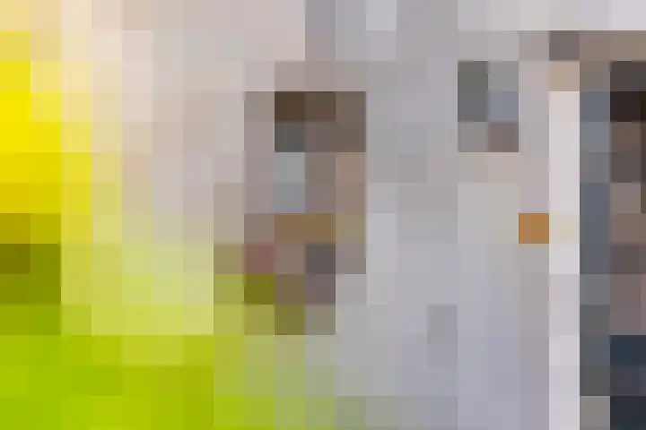 Kanaaldijk 8 Leerbroek thumbnail 25