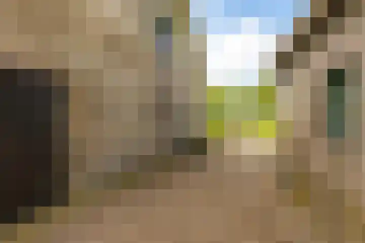 Kanaaldijk 8 Leerbroek thumbnail 26