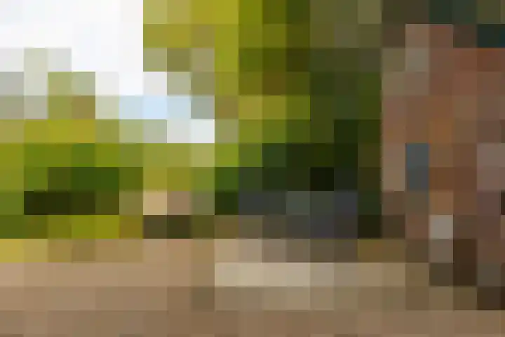 Kanaaldijk 8 Leerbroek thumbnail 27