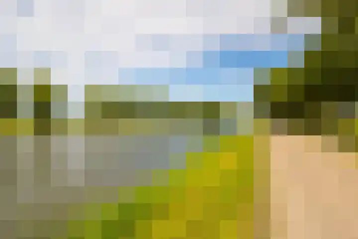 Kanaaldijk 8 Leerbroek thumbnail 34