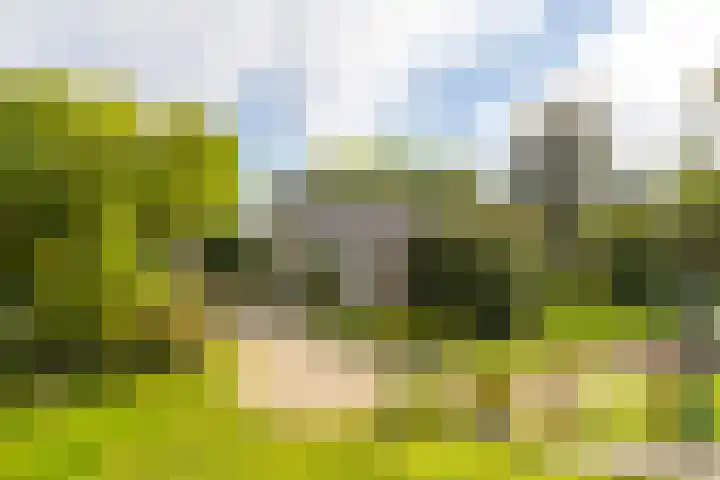 Kanaaldijk 8 Leerbroek thumbnail 35
