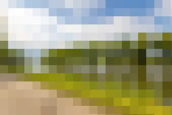 Kanaaldijk 8 Leerbroek thumbnail 36