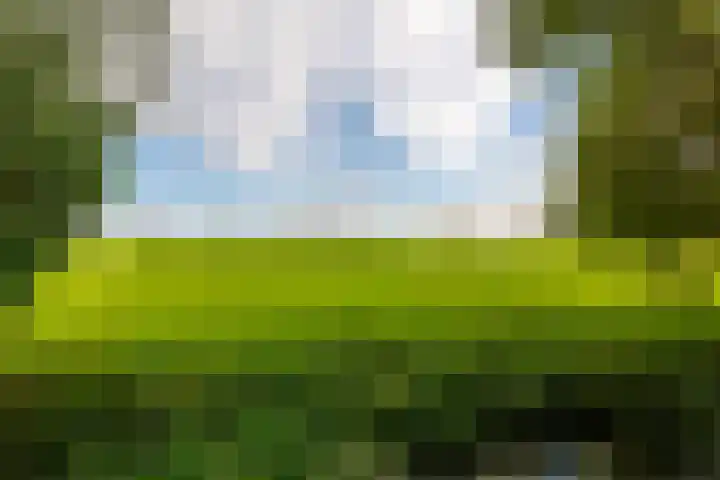Kanaaldijk 8 Leerbroek thumbnail 38