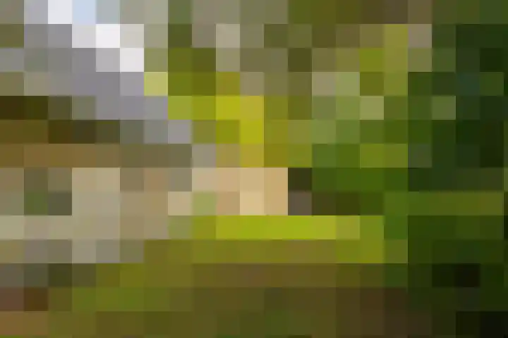 Kanaaldijk 8 Leerbroek thumbnail 39