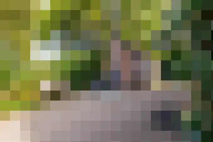 Kanaaldijk 8 Leerbroek thumbnail 4