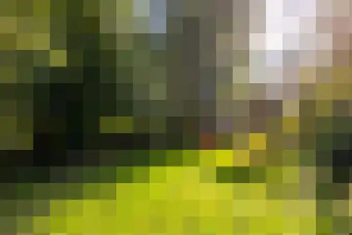 Kanaaldijk 8 Leerbroek thumbnail 42