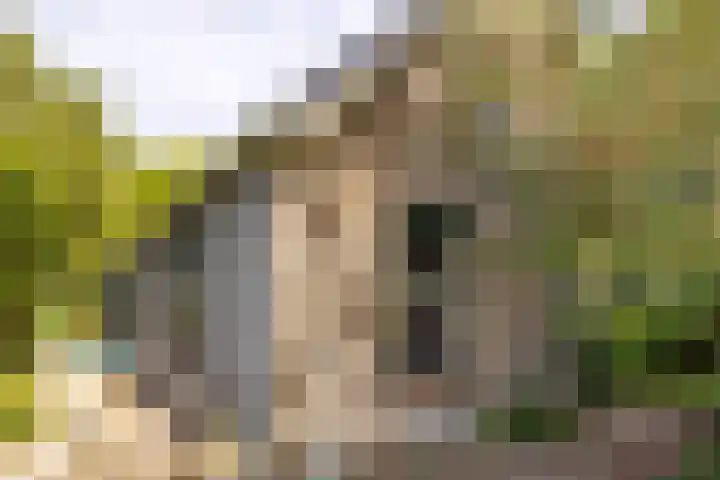 Kanaaldijk 8 Leerbroek thumbnail 43
