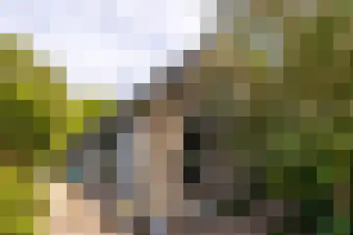 Kanaaldijk 8 Leerbroek thumbnail 44