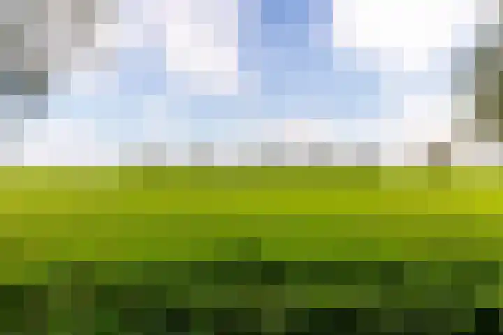 Kanaaldijk 8 Leerbroek thumbnail 47