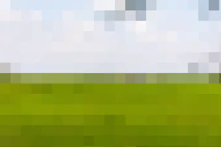 Kanaaldijk 8 Leerbroek thumbnail 48