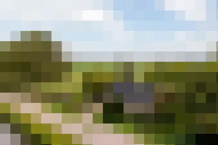 Kanaaldijk 8 Leerbroek thumbnail 51