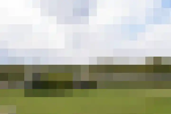 Kanaaldijk 8 Leerbroek thumbnail 52